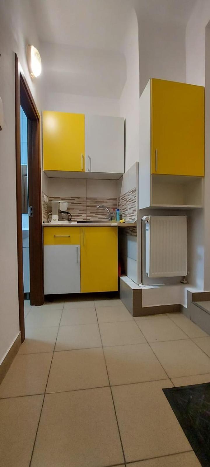 Central Studio In Historic Center Брашов Екстер'єр фото